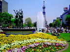 Odori Park Garden